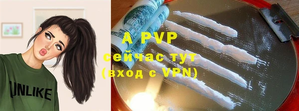 индика Абаза