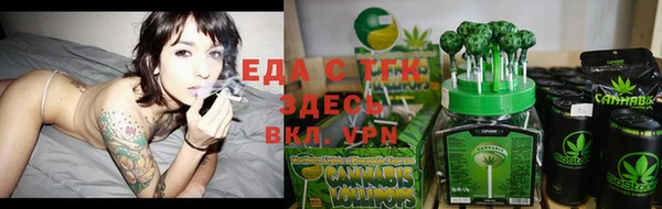 индика Абаза