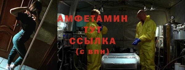 индика Абаза