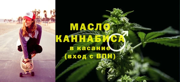 индика Абаза