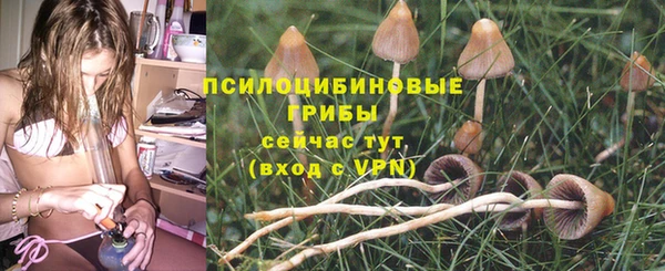 индика Абаза