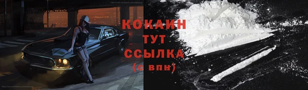индика Абаза