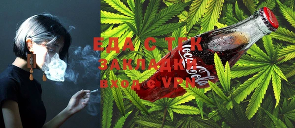 индика Абаза