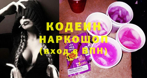 индика Абаза