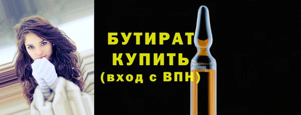индика Абаза