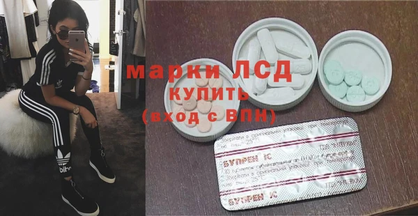 индика Абаза