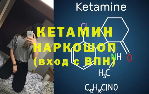 индика Абаза
